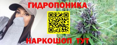 прущие крисы Новодвинск