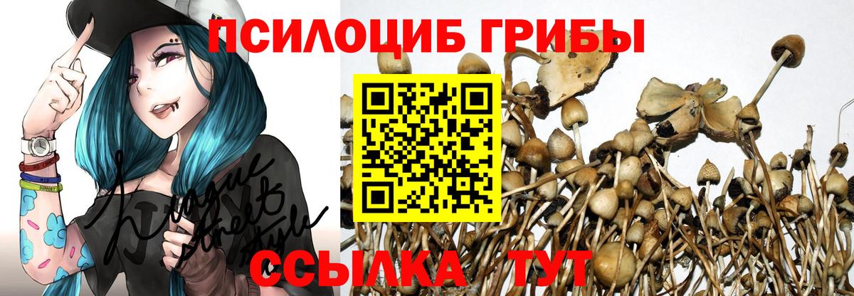 Галлюциногенные грибы Psilocybine cubensis  Псилоцибиновые грибы Psilocybe  Вход с VPN  Первоуральск 